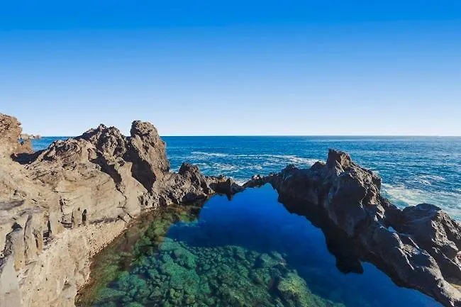 Sunny Sea View Center Of Americas *