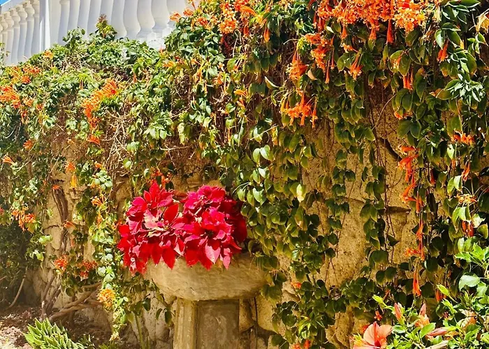 Sunny Sea View Center Of Americas Apartment Playa de las Américas