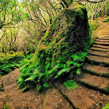 Апартаменты Sunny Sea View Center Of Americas