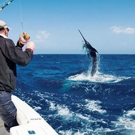 Sunny Sea View Center Of Americas *