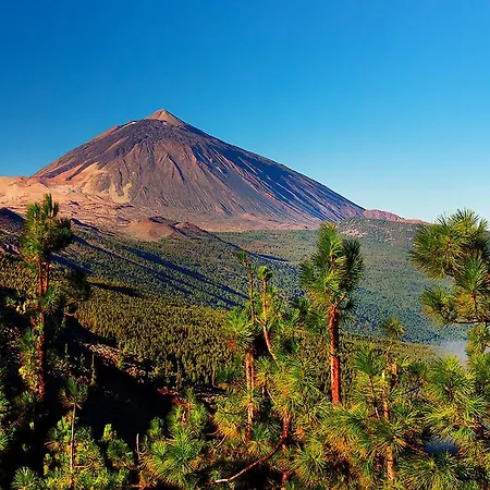 Апартаменты Sunny Sea View Center Of Americas *