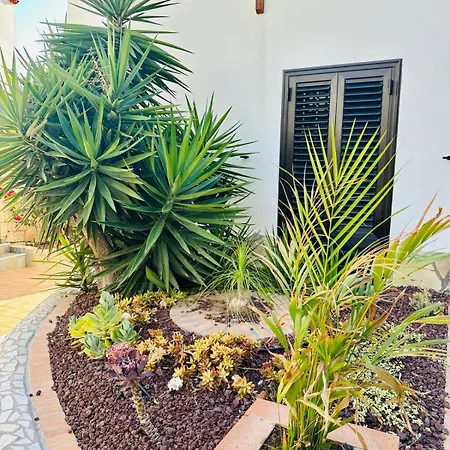 Sunny Sea View Center Of Americas Плая-де-лас-Америкас