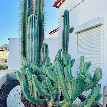 Sunny Sea View Center Of Americas