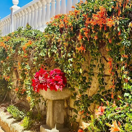 Sunny Sea View Center Of Americas Apartment Playa de las Americas (Tenerife)