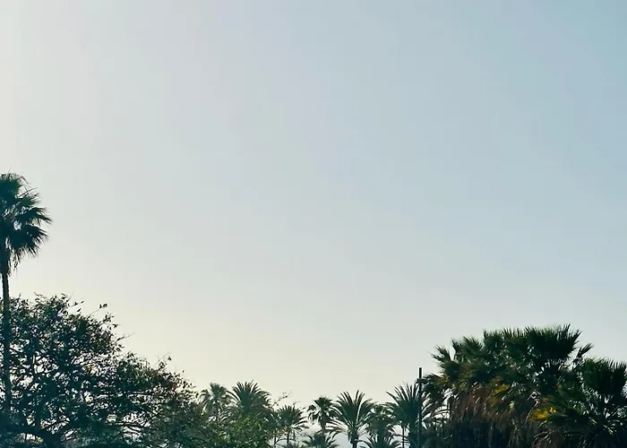 Апартаменты Sunny Sea View Center Of Americas *