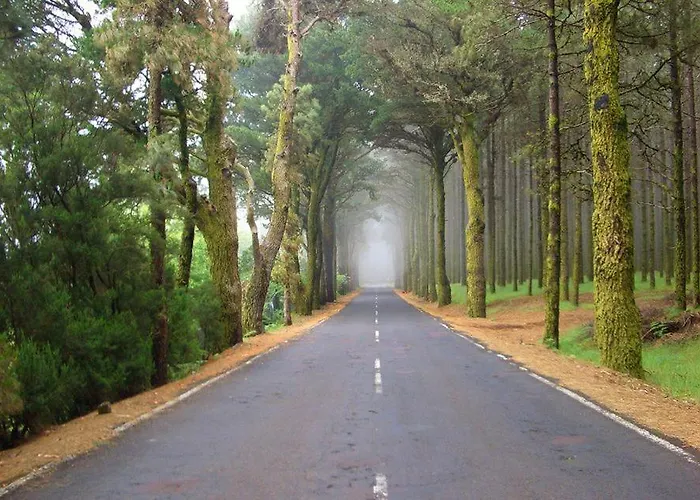 아파트 Sunny Sea View Center Of Americas *