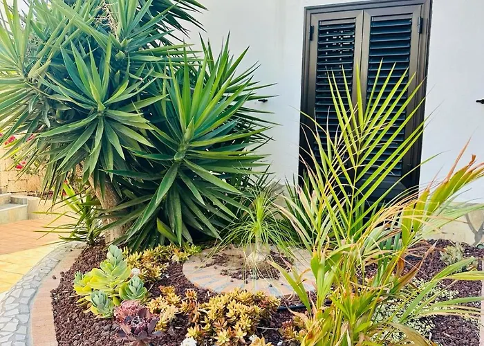 Sunny Sea View Center Of Americas 플라야데라스아메리카스