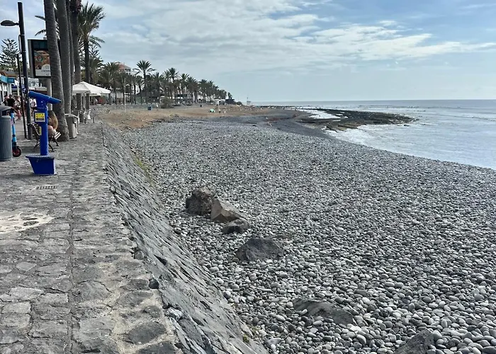 Sunny Sea View Center Of Americas * 플라야데라스아메리카스