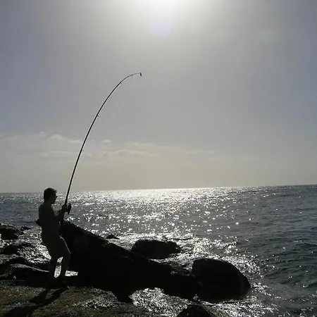 Sunny Sea View Center Of Americas Appartamento Playa de las Americas (Tenerife)