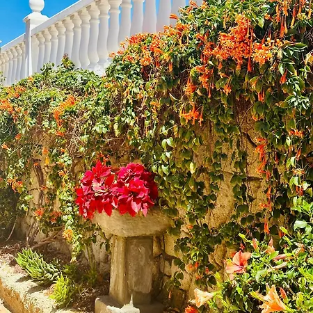 Sunny Sea View Center Of Americas Apartment Playa de las Americas (Tenerife)