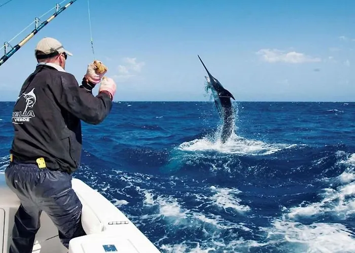 Sunny Sea View Center Of Americas *