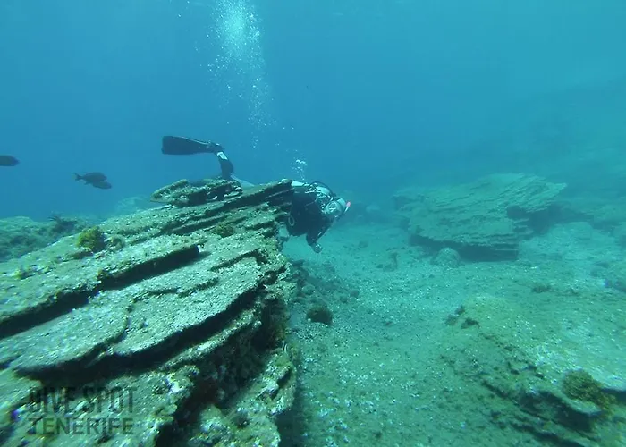 Sunny Sea View Center Of Americas