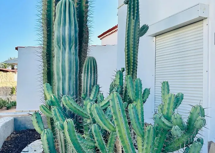 Sunny Sea View Center Of Americas